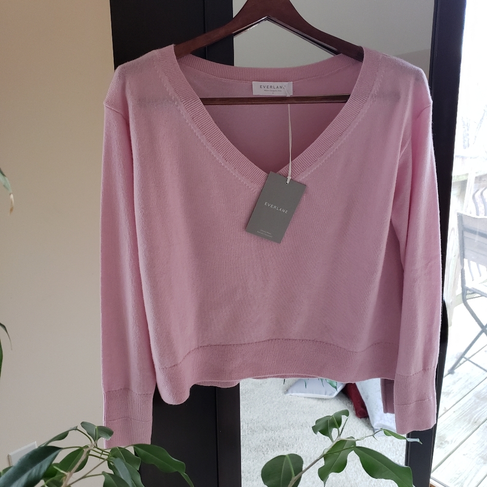 Everlane Cashmere cropped v-neck sweater
